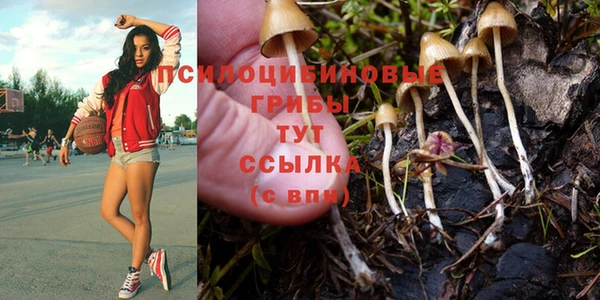 винт Протвино