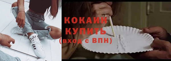 винт Протвино