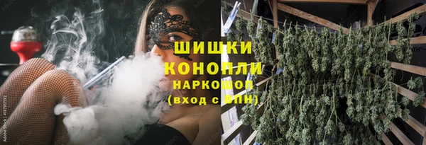 винт Протвино