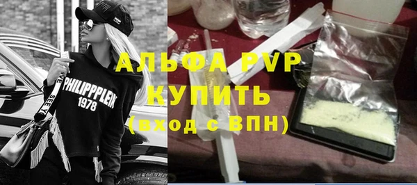индика Рославль